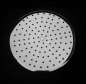 Preview: Tellerkopfbrause 250 mm Ø Chrome