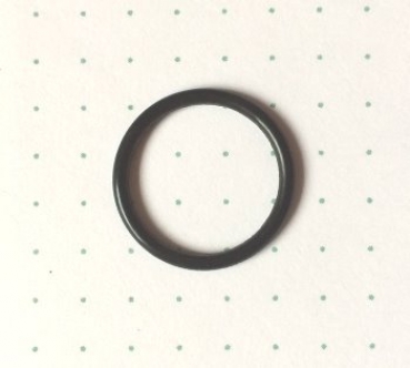 O-Ring 15,1 mm für Inwalltouch